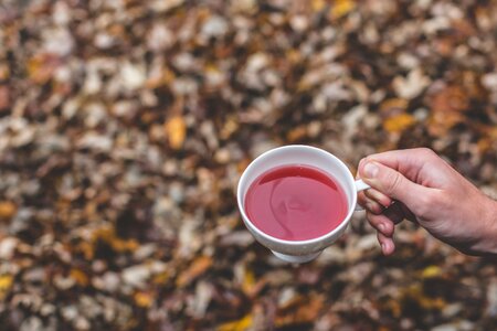 Loose Leaf Tea With Autumn Leaves photo