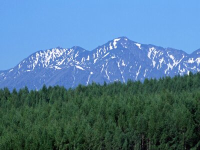 Beautiful mountain landscape forest at the foot of the mountains photo