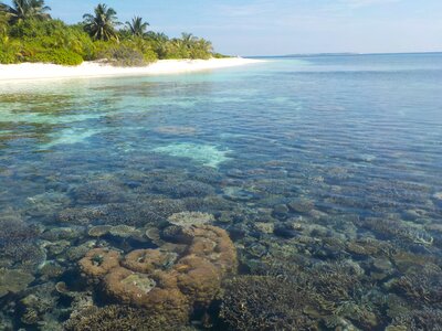 Maldives sea vacations