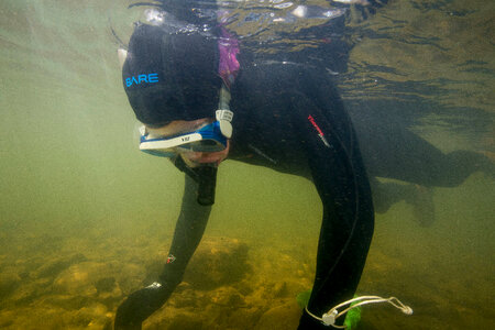  Biologist searches for freshwater mussels