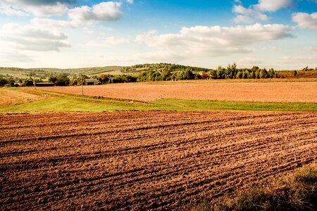 The cultivation of agriculture corn photo