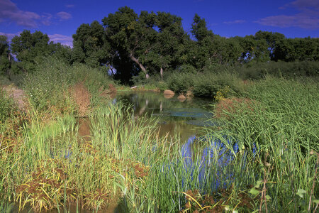 View of San Berdnardino National Wildlife Refuge
