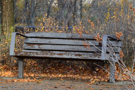 Nature park seating