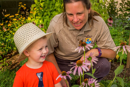 FWS employee with little boy look at monarch on flower