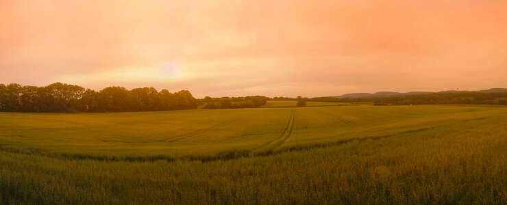 Agriculture backlight dawn photo