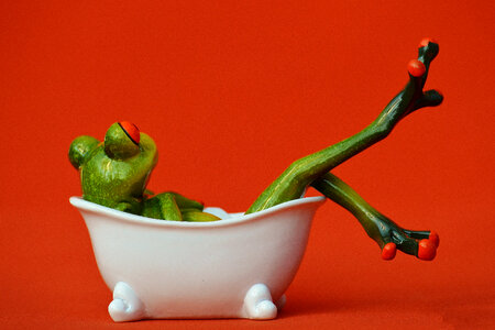 Bathing Frog
