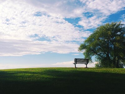 A Wooded Bench on a Grassy Hill photo