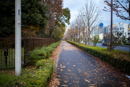 2 Showa Memorial Park