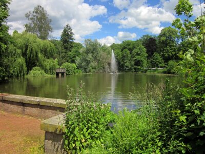 Fountain trees water