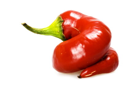 Hot red chilli pepper photo