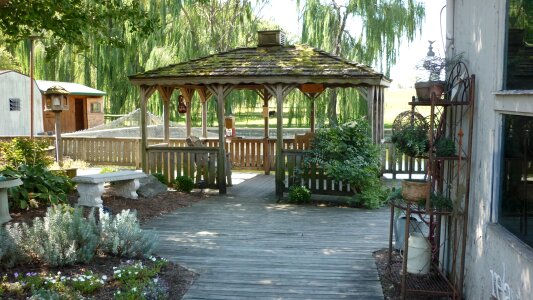 Patio trees relaxation