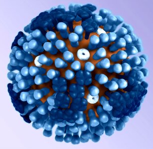 Depicting generic influenza