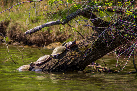 Fountainhead Regional Park, Virginia