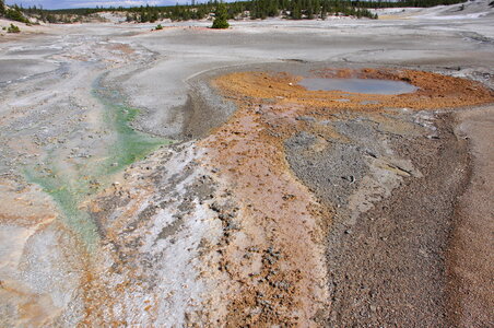 Thermal Field at Yellow Stone National Park photo