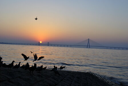 Mumbai Sunset photo