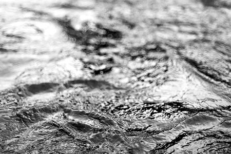 Water Movement