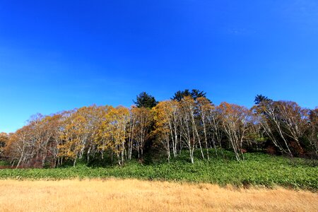 Autumn countryside field photo