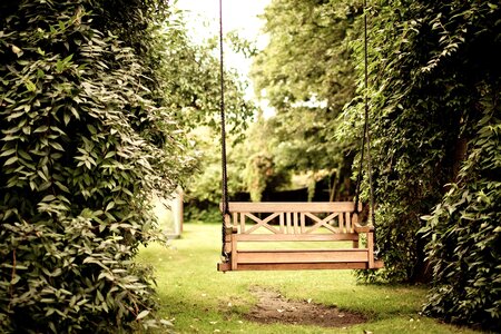 Flower Garden garden grass photo