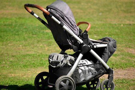 Baby fair weather grass