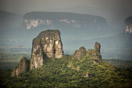 Amazon Rain forest landscape with trees photo