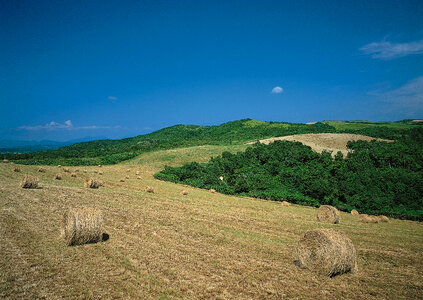 Hay bail harvesting in golden field landscape photo