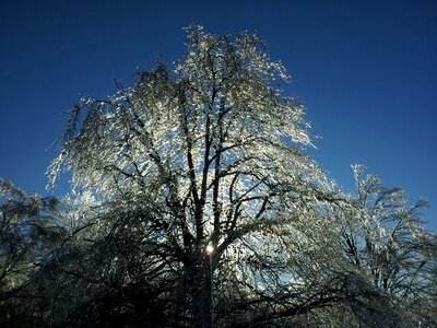 Frozen cold icy photo