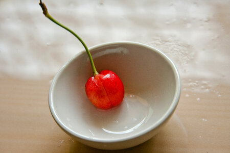 Food Cherry photo