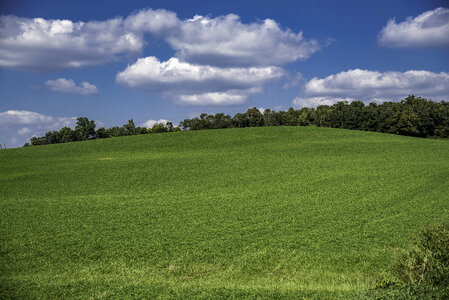 Green Hill Landscape under sky and clouds