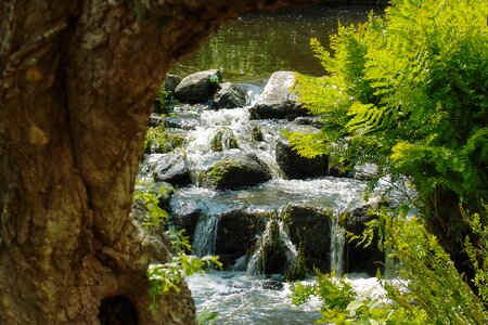 Nature water courses waterfall photo