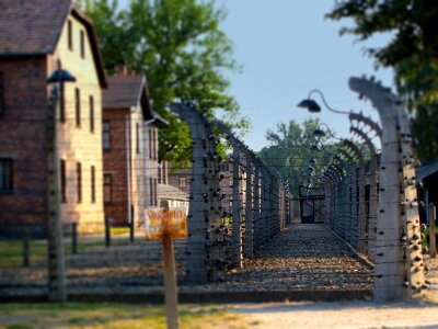 Prison grid barbed fence