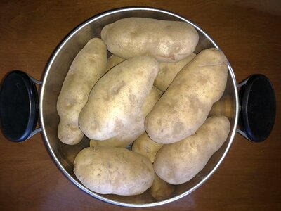 Kitchen Table kitchenware potato photo