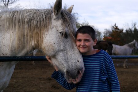 Horse horse boy love animals