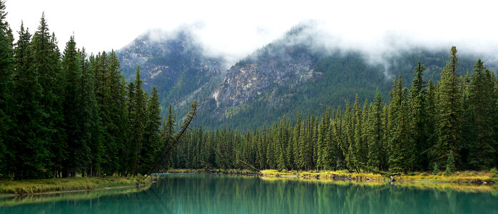 River and forest landscape near the Bow River in Banff National Park, Alberta, Canada photo