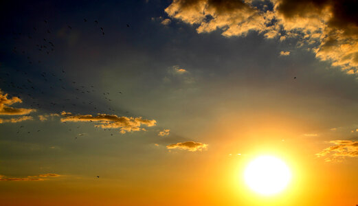 Sunset Skyscape with sun and clouds photo