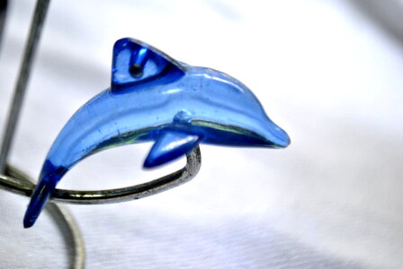 Dolphin Glass
