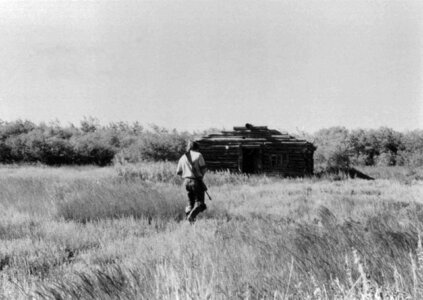 Cabin going husband