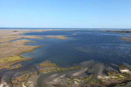 Cheaspeake Marshlands 