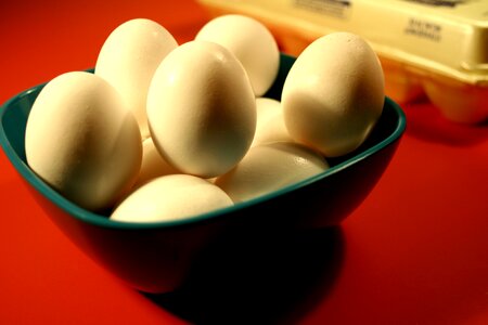 Chicken egg 