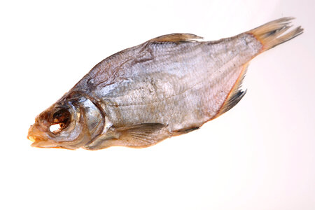 Dry fish photo