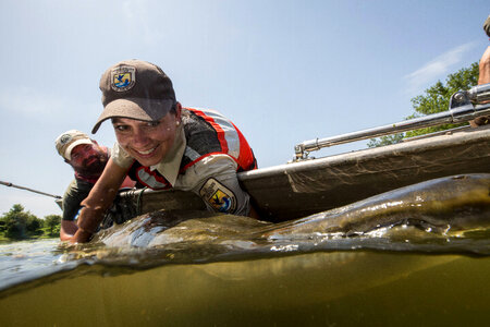 Alligator gar-1 photo