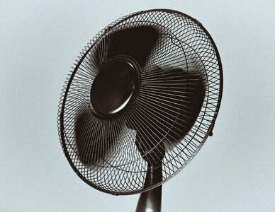 Black fan air