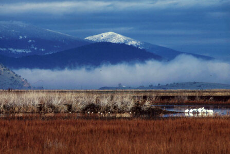 Lower Klamath National Wildlife Refuge-3