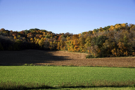 View of the trees and autumn forest in Wisconsin photo