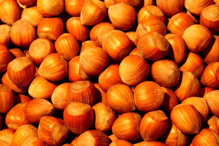 Hazelnuts hazelnut market