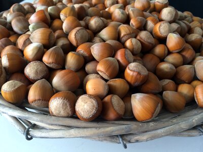 Food eat fruit pod