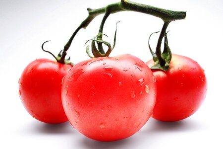 Vegetables vitamins vegetarian