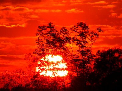 Sky romance sun