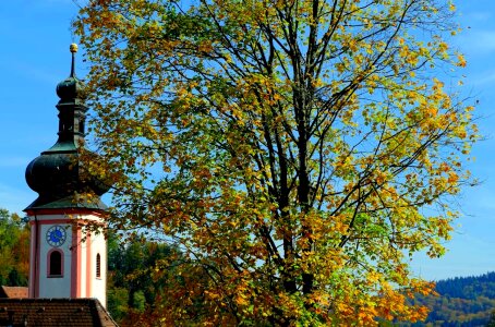 Architecture autumn autumn season