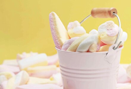 Beautiful Photo biscuit bucket