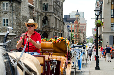 Horse Carriage in Montreal, Canada photo